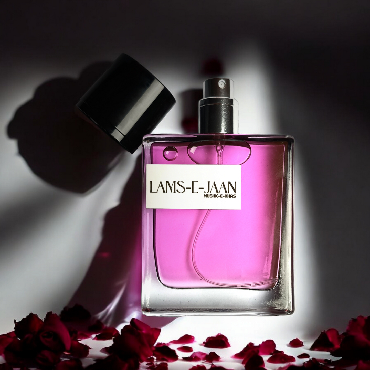 LAMS-E-JAAN