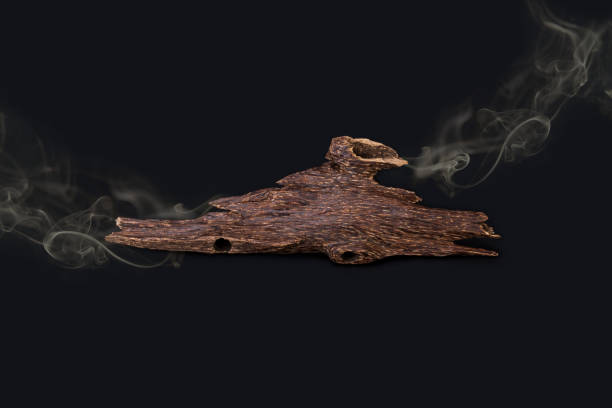 Oud